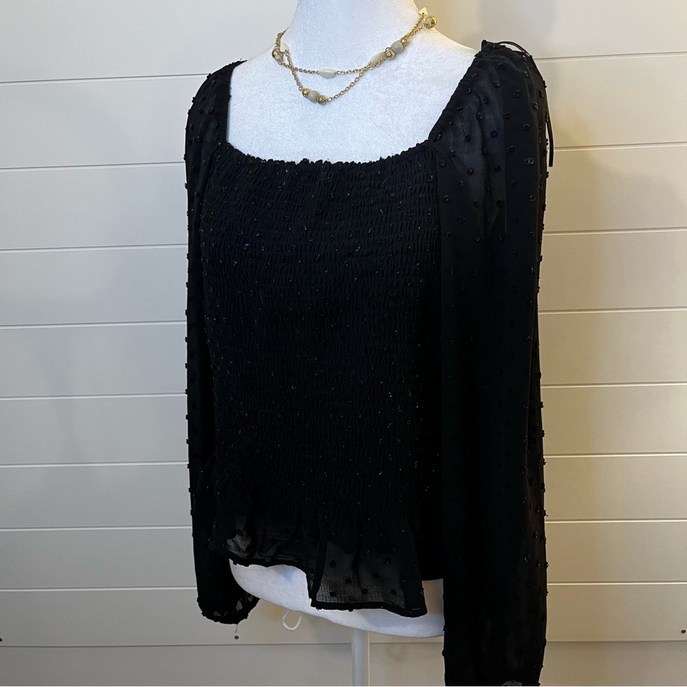 Lush Black Sheer Sleeve Blouse with Ruching Sparkle Puffy Sleeves WhimsyGoth